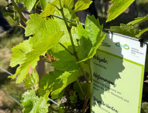 Stammtisch der anderen Art